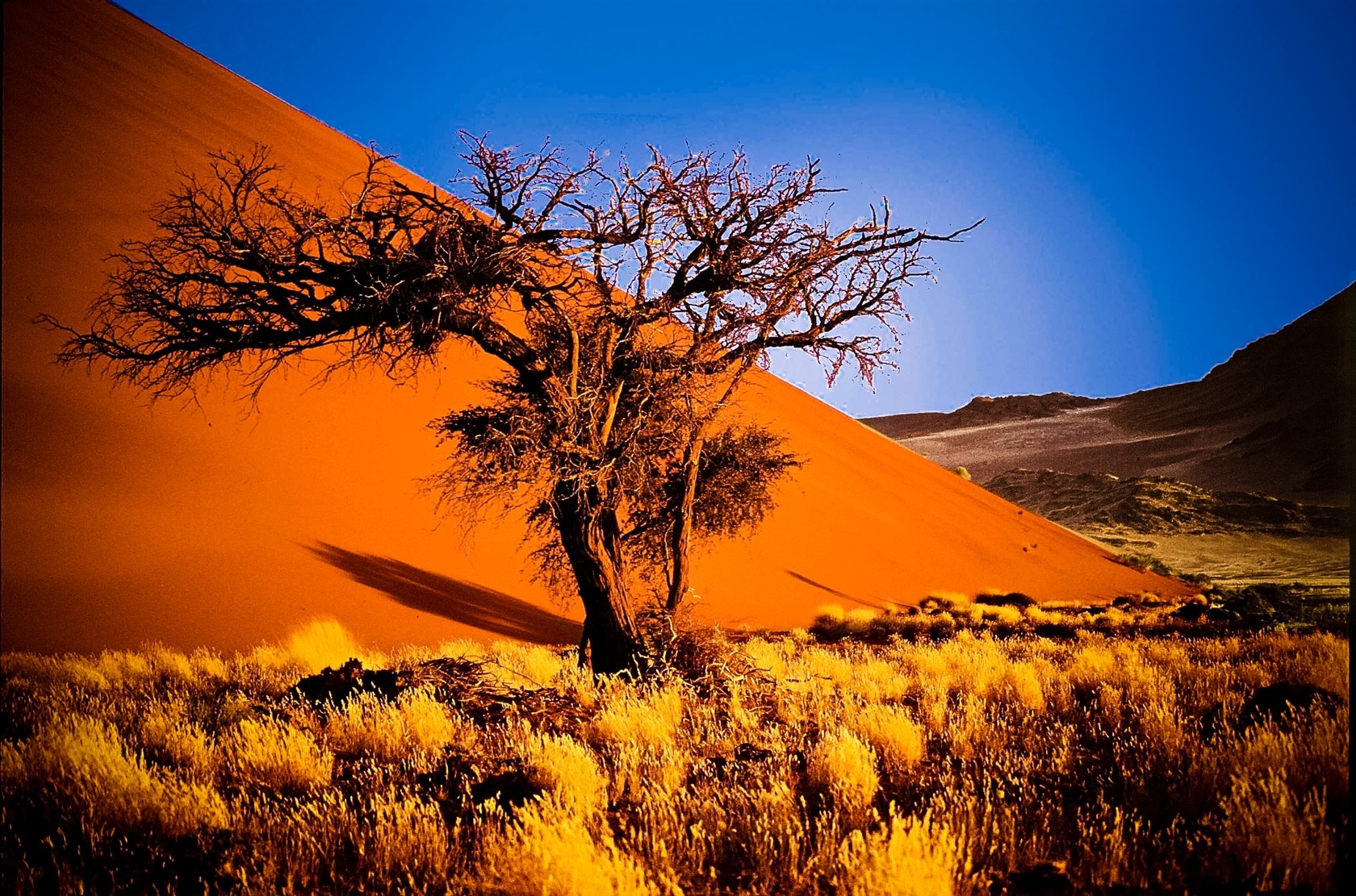 Dune e Oasi namibiane
