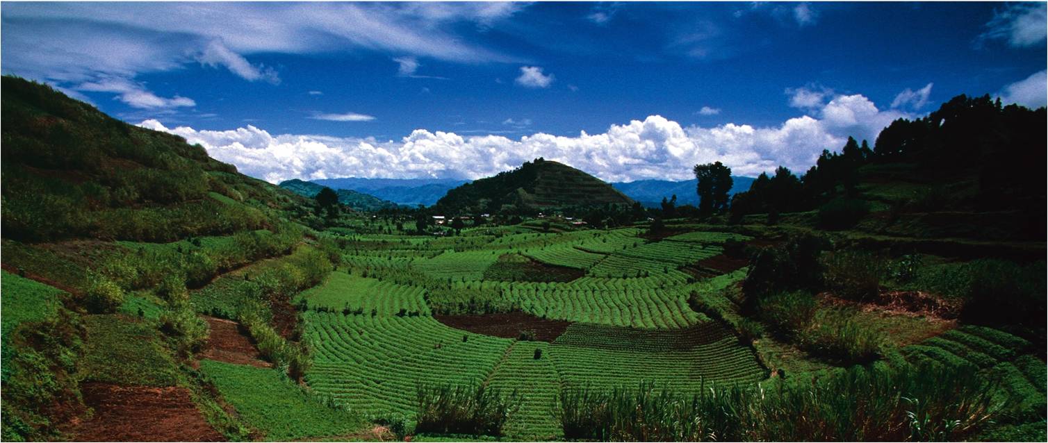 Uganda-landscape
