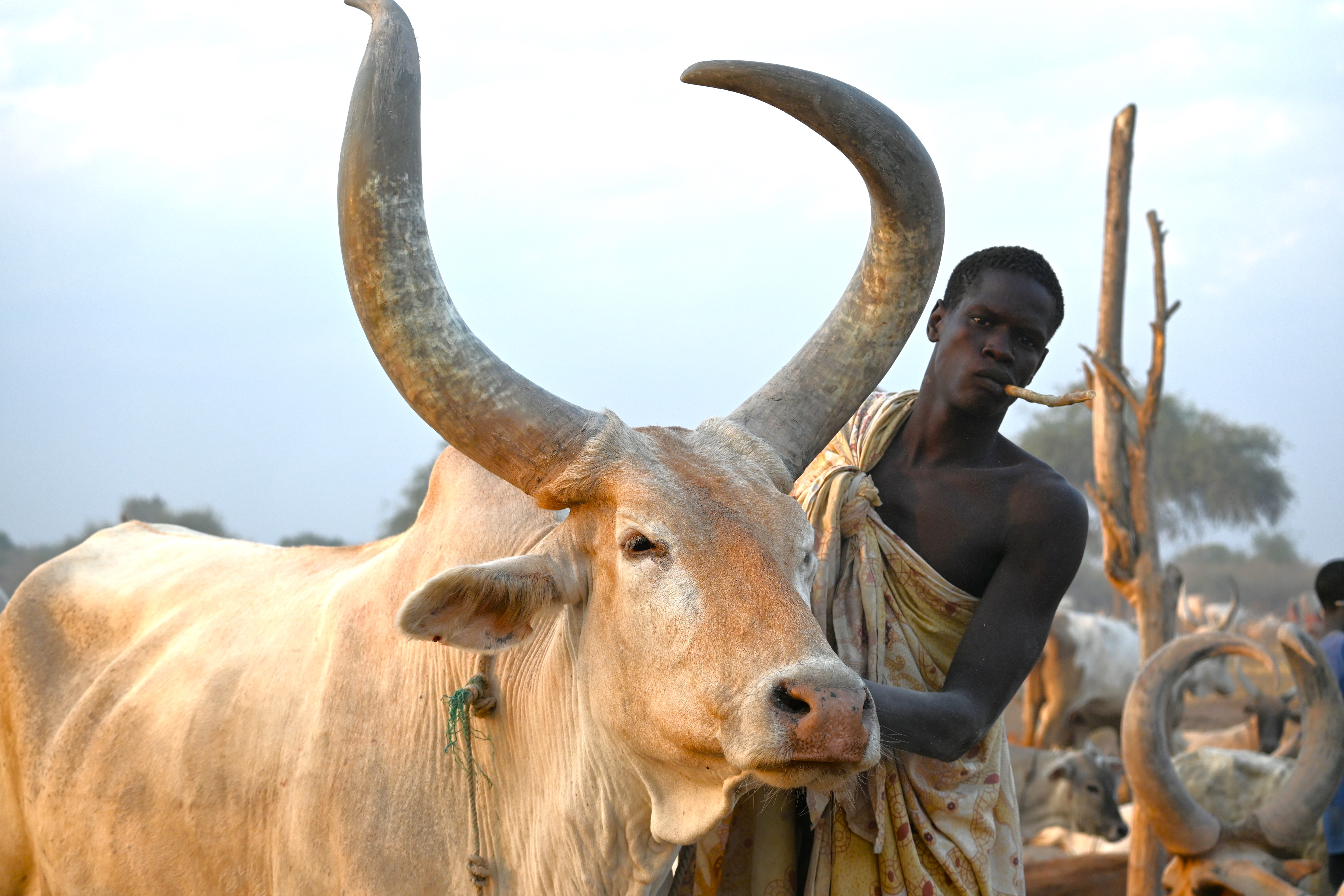 SUD SUDAN