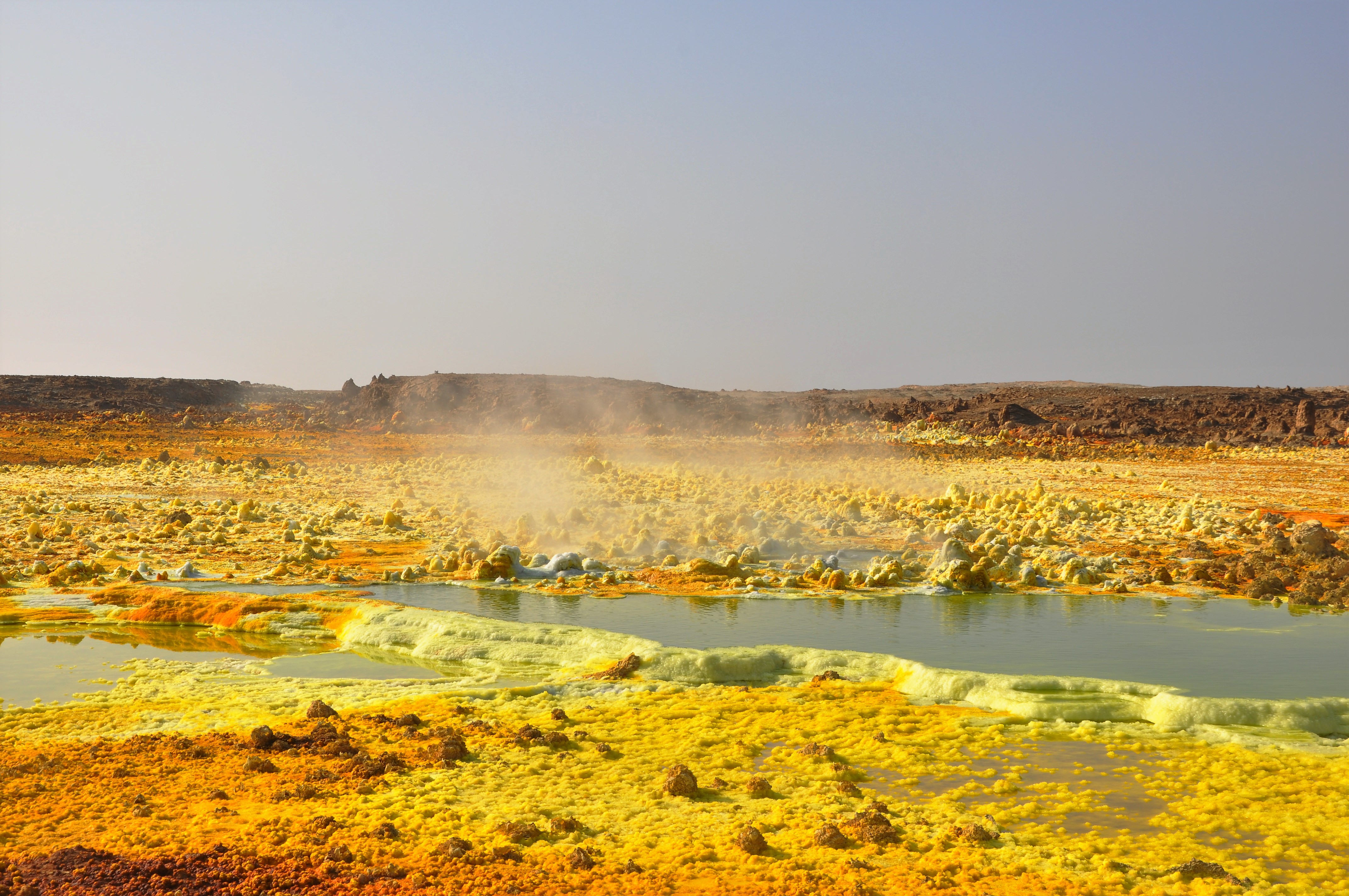 dancalia dallol