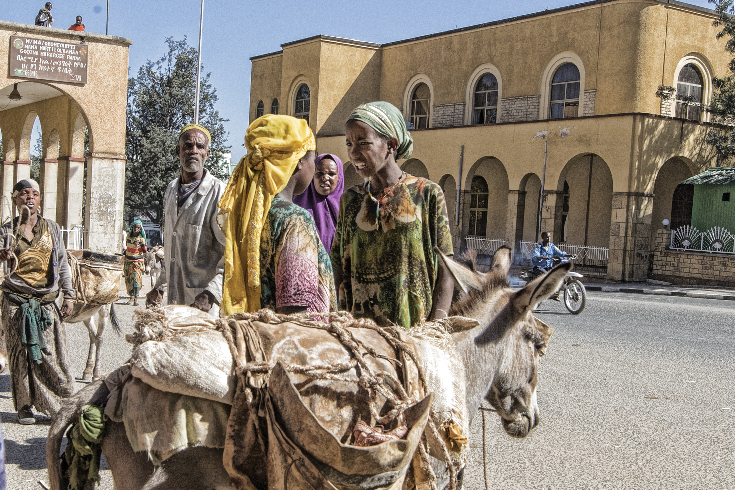 mercato ad harar