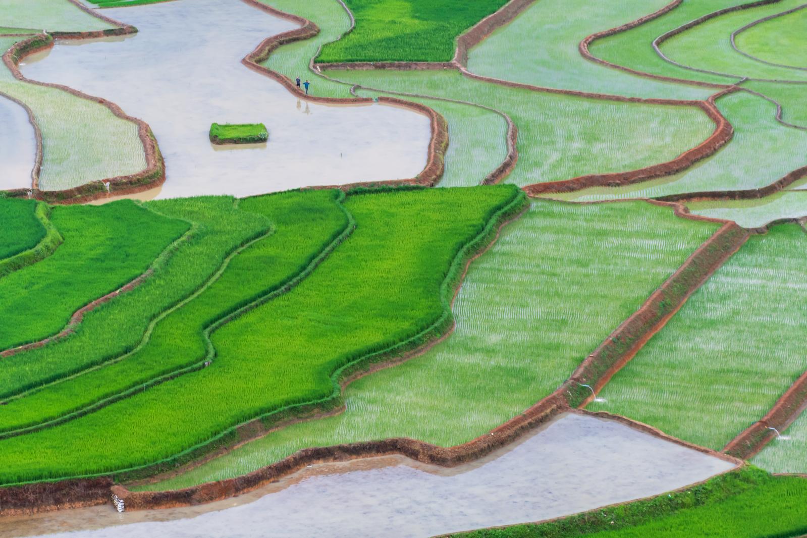 VIETNAM