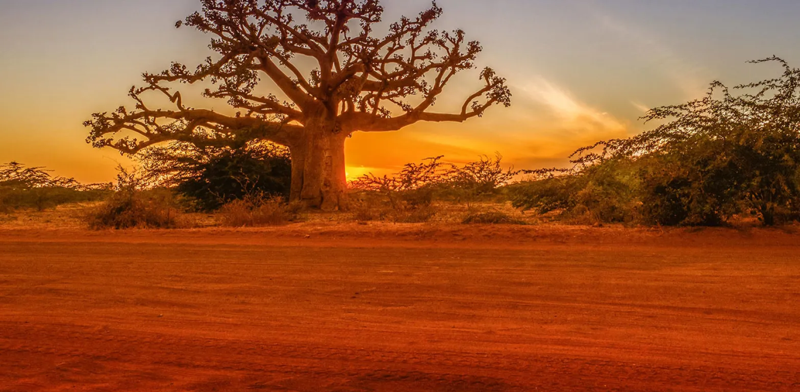 senegal foto