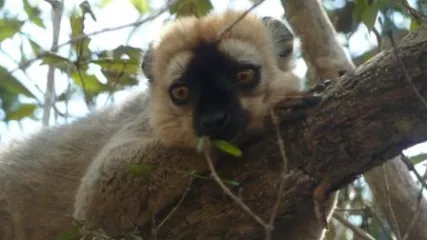 ViaggiMadagascar - Viaggitribali