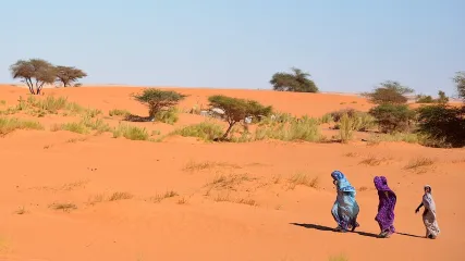 detours-mauritanie-el-kheouiya-marche du voile2