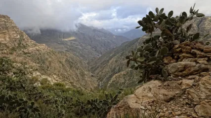 ERITREA 2