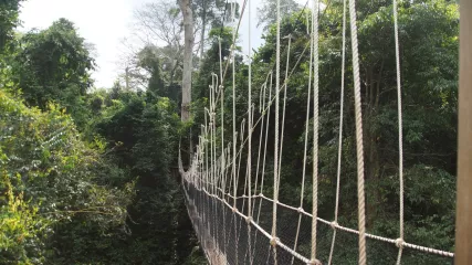 ghana 12 canopy walk Kakum