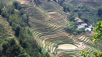 VIETNAM DEL NORD