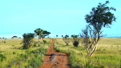 KENYA TURKANA