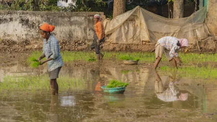 INDIA, ORISSA