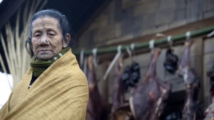 INDIA, NAGALAND E ARUNACHAL