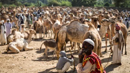 ERITREA