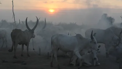 SUD SUDAN