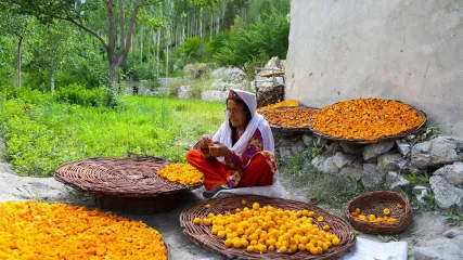 PAKISTAN NORD