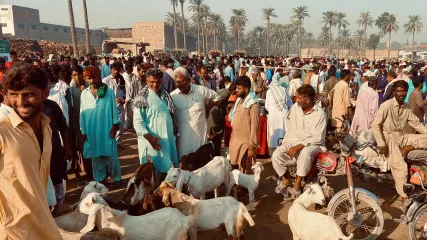 PAKISTAN DEL SUD