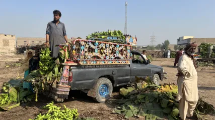 PAKISTAN DEL SUD