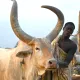 SUD SUDAN