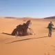 ALGERIA DESERTO