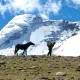 LADAKH