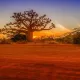 senegal foto