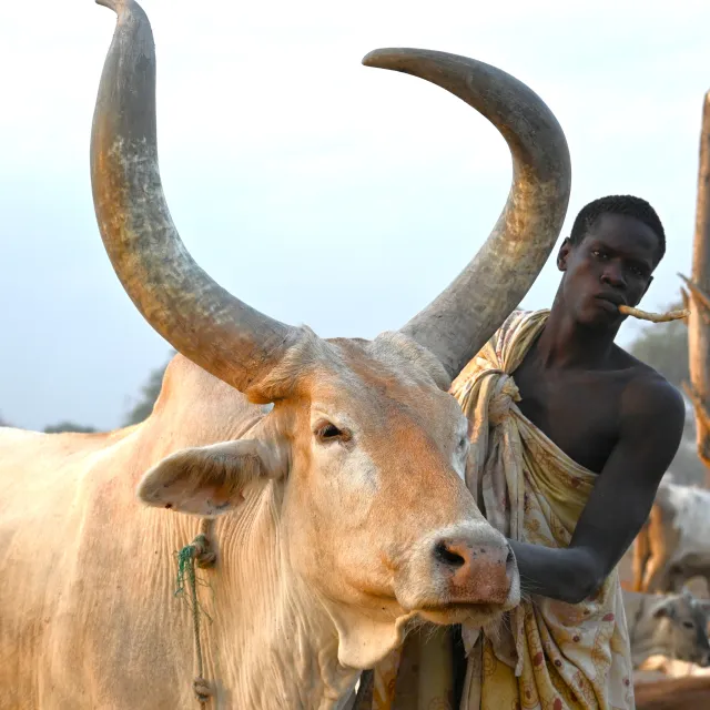 SUD SUDAN