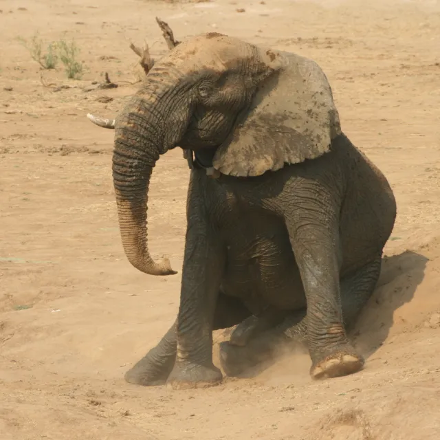 NAMIBIA