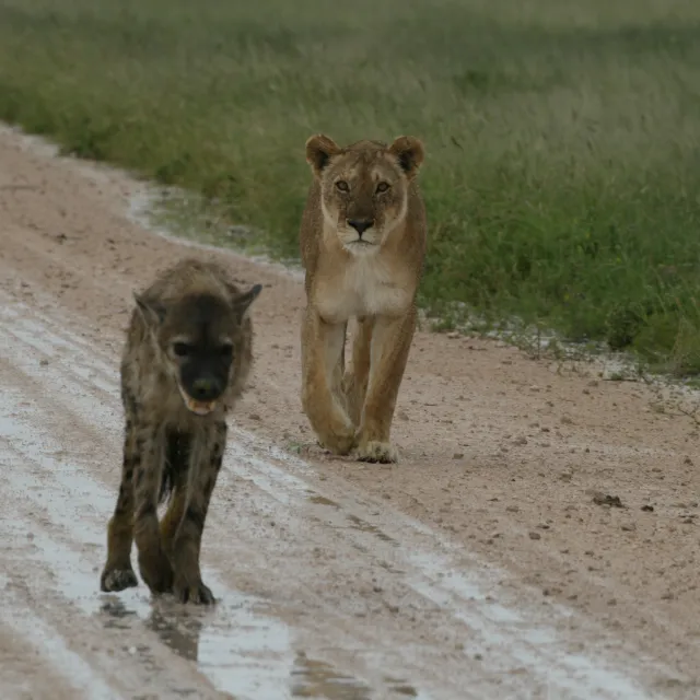 NAMIBIA