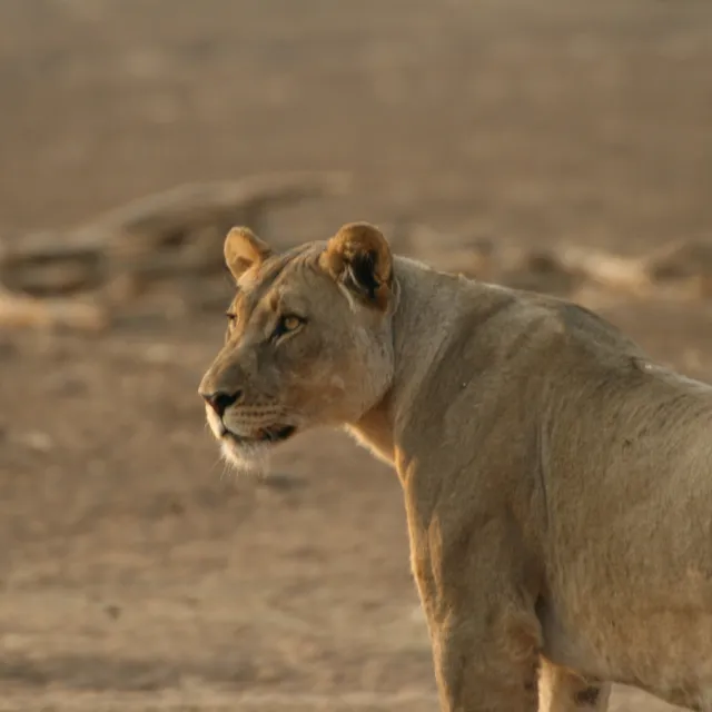 NAMIBIA