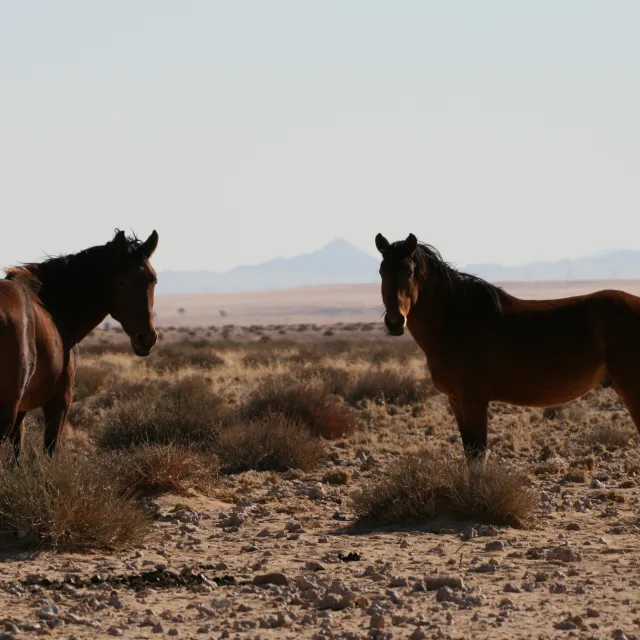 NAMIBIA