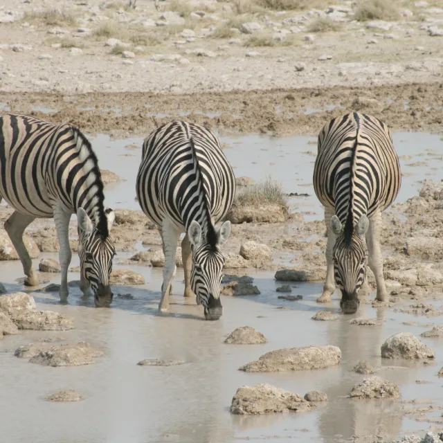 NAMIBIA