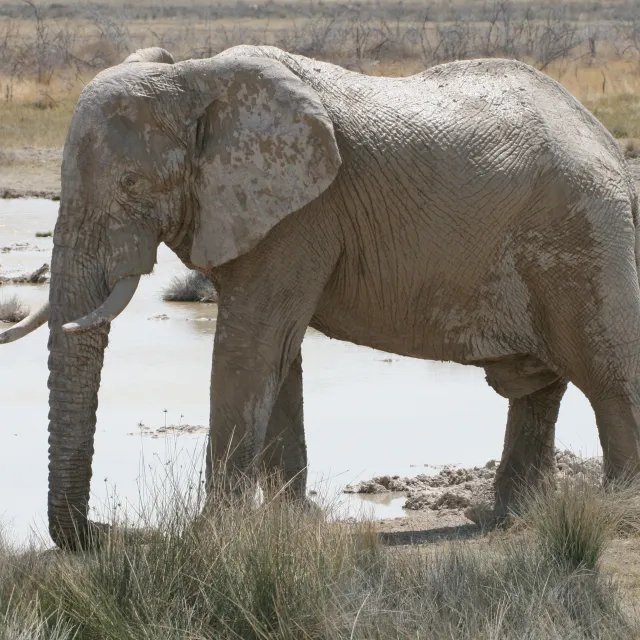 NAMIBIA