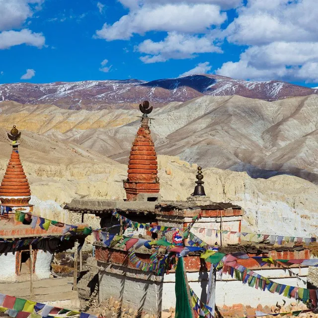 NEPAL MUSTANG